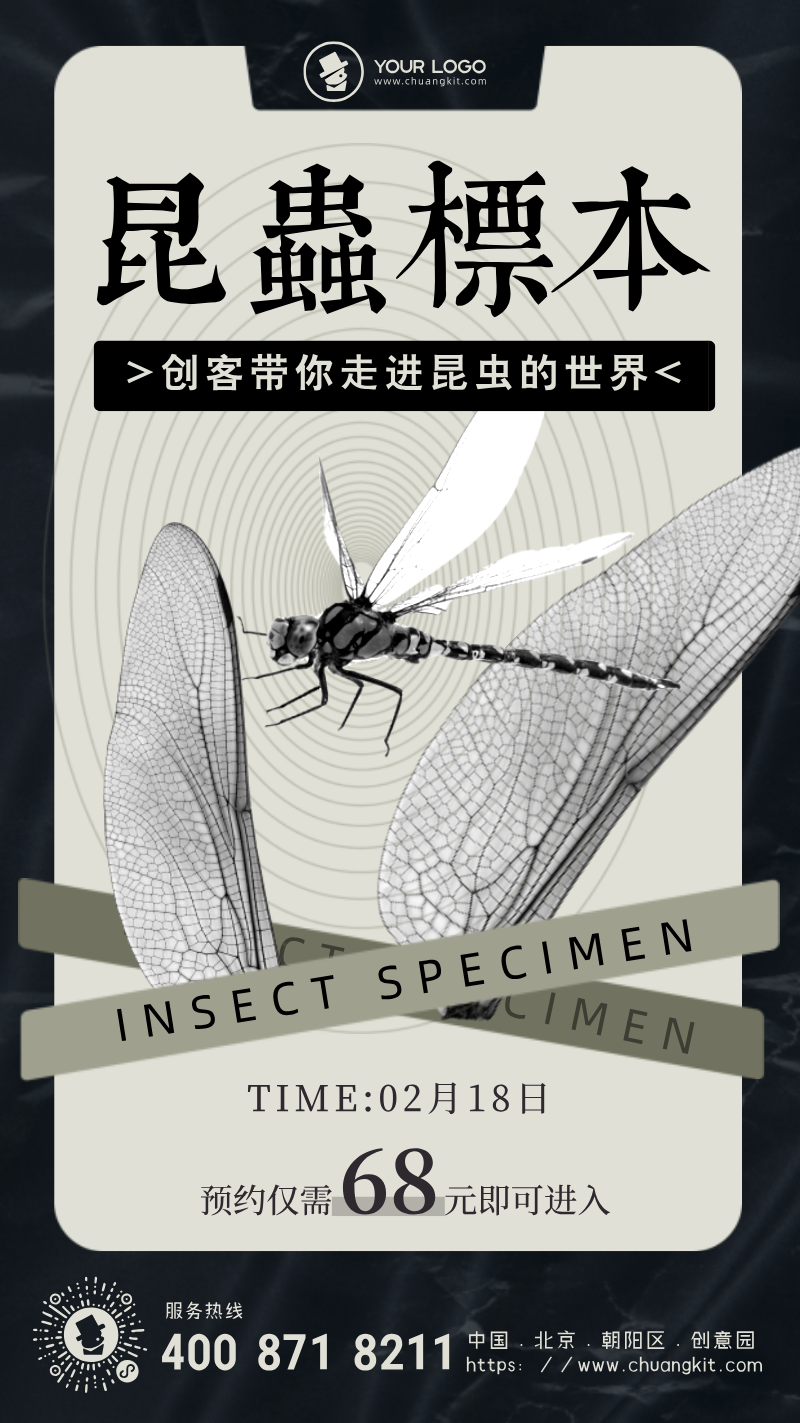 图文风昆虫标本展览手机海报图片设计模板- 站长设计